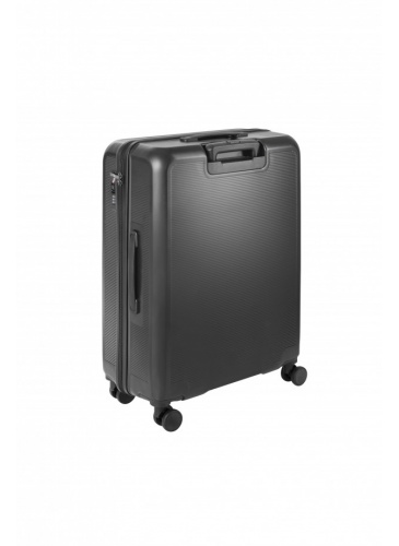 Trolley 67 cm D&N Lederwaren Grey