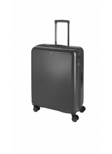 Trolley 67 cm D&N Lederwaren Grey