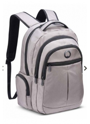 Backpack Delsey ELEMENT BACKPACKS 15.6