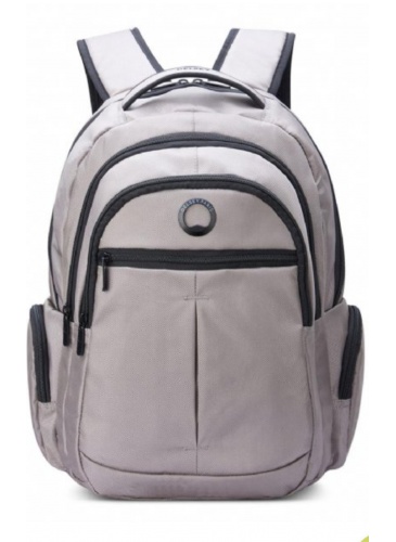 Backpack Delsey ELEMENT BACKPACKS 15.6