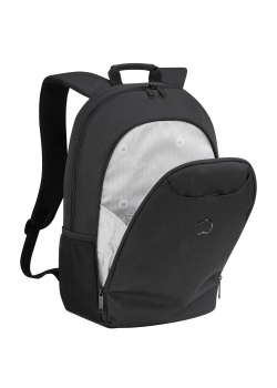 Рюкзак Delsey ESPLANADE 15.6